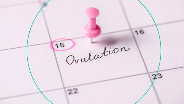 Understanding Ovulation and Its Connection to Luteinising Hormone (LH)